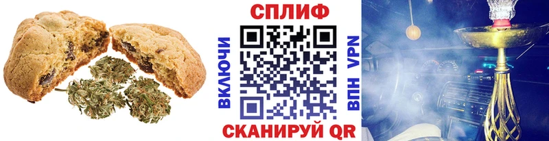 Купить закладки  Ардон  Cannafood марихуана 
