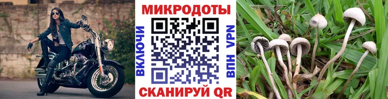 Купить закладки  Ардон  Псилоцибиновые грибы Magic Shrooms 
